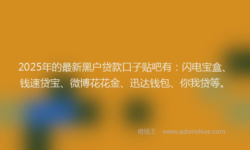 2025年的最新黑户贷款口子贴吧有：闪电宝盒、钱速贷宝、微博花花金、迅达钱包、你我贷等。