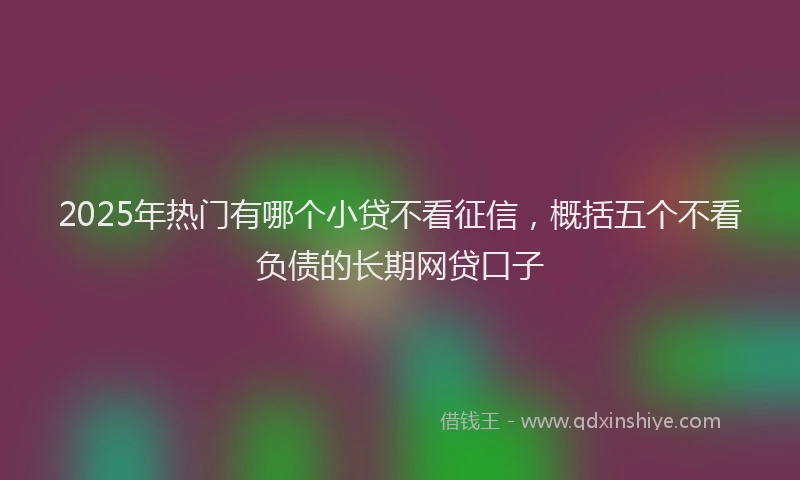 2025年热门有哪个小贷不看征信，概括五个不看负债的长期网贷口子