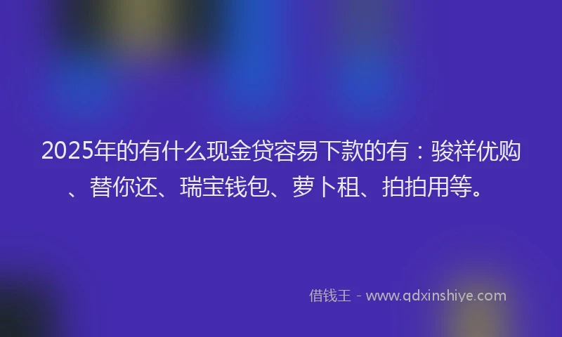 2025年的有什么现金贷容易下款的有:骏祥优购、替你还、瑞宝钱包、萝卜租、拍拍用等。