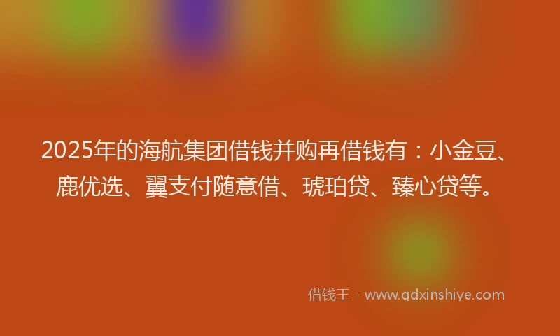 2025年的海航集团借钱并购再借钱有：小金豆、鹿优选、翼支付随意借、琥珀贷、臻心贷等。
