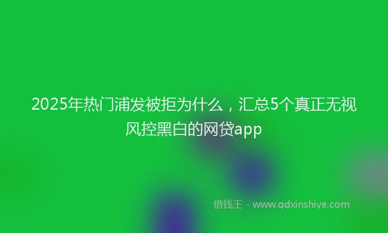 2025年热门浦发被拒为什么，汇总5个真正无视风控黑白的网贷app