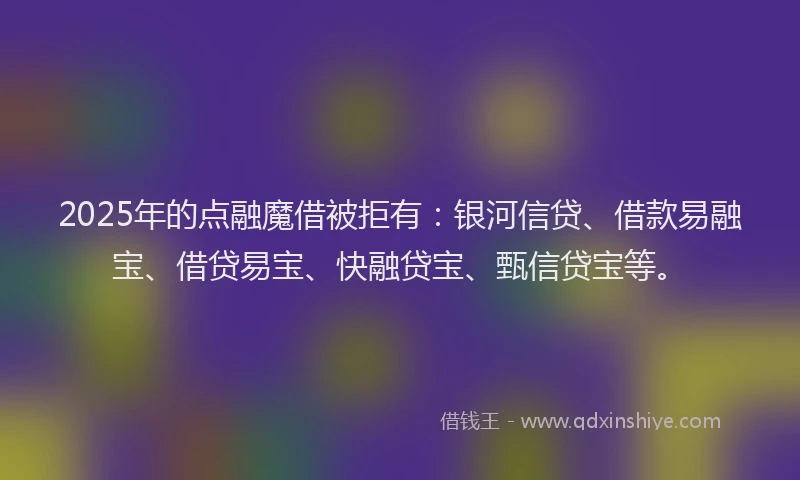 2025年的点融魔借被拒有：银河信贷、借款易融宝、借贷易宝、快融贷宝、甄信贷宝等。