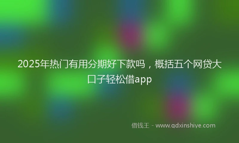 2025年热门有用分期好下款吗，概括五个网贷大口子轻松借app