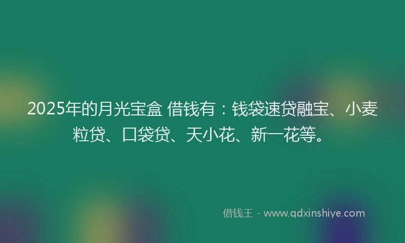 2025年的月光宝盒 借钱有：钱袋速贷融宝、小麦粒贷、口袋贷、天小花、新一花等。
