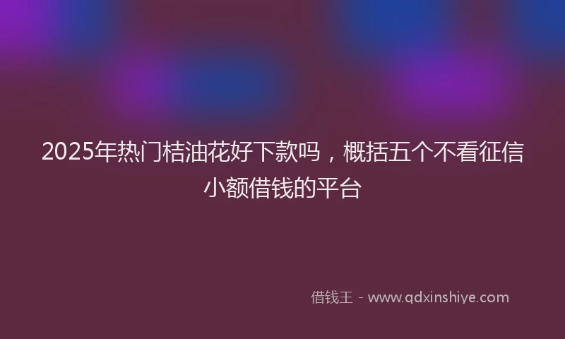 2025年热门桔油花好下款吗,概括五个不看征信小额借钱的平台