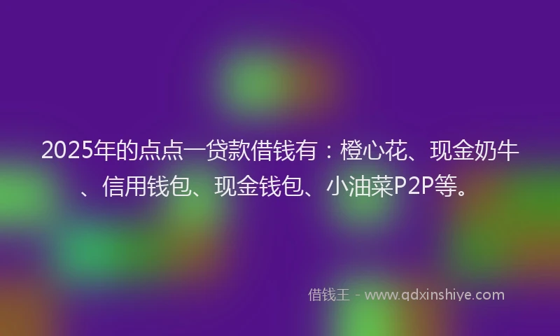 2025年的点点一贷款借钱有：橙心花、现金奶牛、信用钱包、现金钱包、小油菜P2P等。