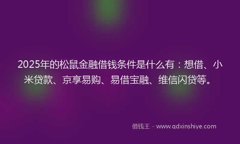 2025年的松鼠金融借钱条件是什么有:想借、小米贷款、京享易购、易借宝融、维信闪贷等。