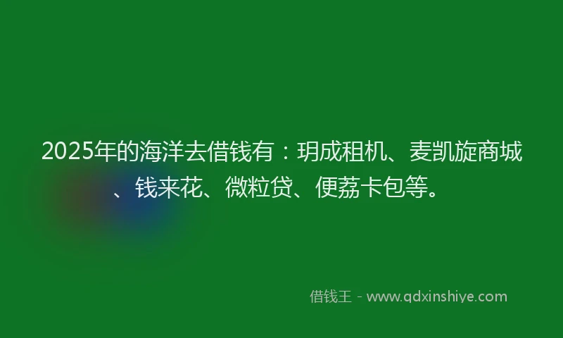 2025年的海洋去借钱有：玥成租机、麦凯旋商城、钱来花、微粒贷、便荔卡包等。