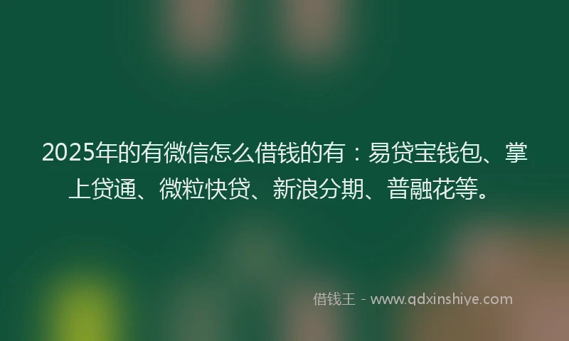 2025年的有微信怎么借钱的有：易贷宝钱包、掌上贷通、微粒快贷、新浪分期、普融花等。