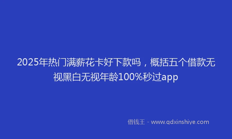 2025年热门满薪花卡好下款吗，概括五个借款无视黑白无视年龄100%秒过app