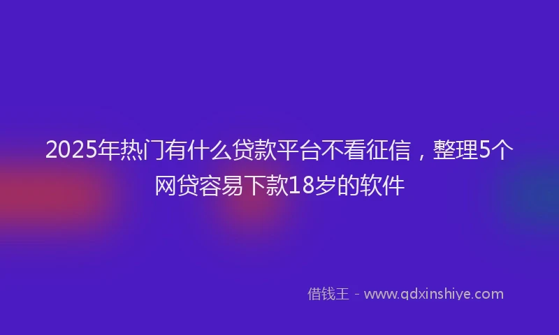2025年热门有什么贷款平台不看征信，整理5个网贷容易下款18岁的软件