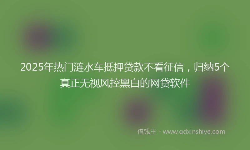 2025年热门涟水车抵押贷款不看征信，归纳5个真正无视风控黑白的网贷软件