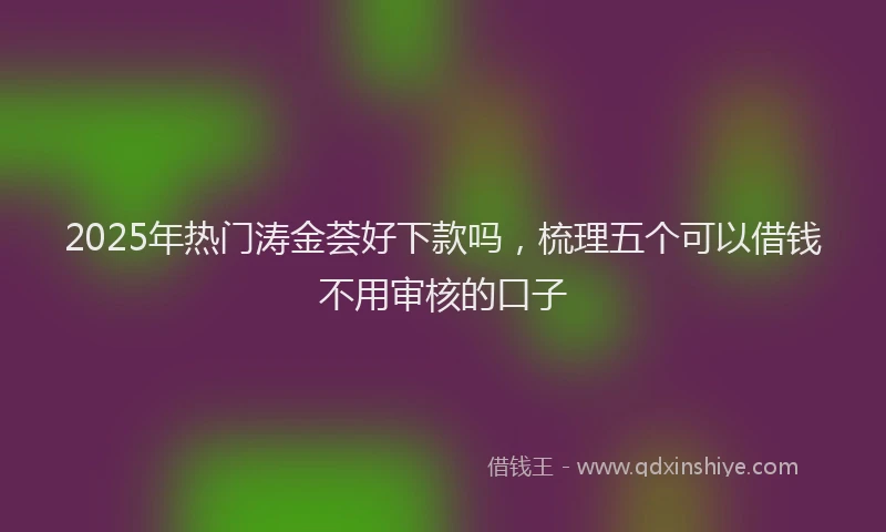 2025年热门涛金荟好下款吗,梳理五个可以借钱不用审核的口子