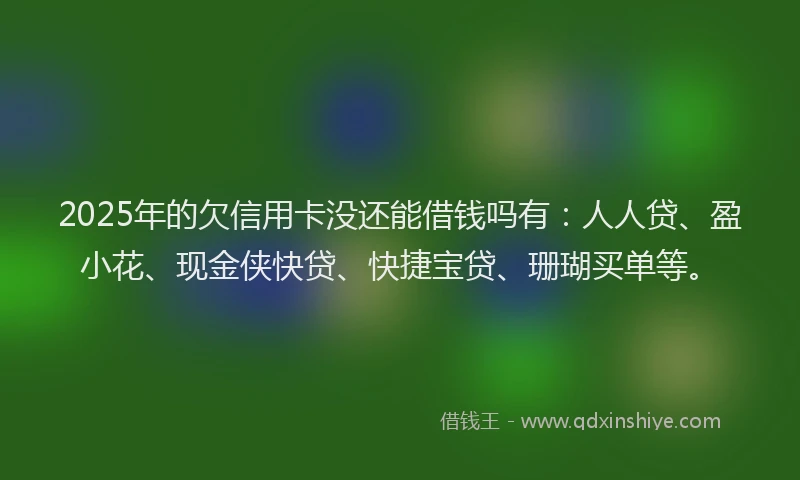 2025年的欠信用卡没还能借钱吗有：人人贷、盈小花、现金侠快贷、快捷宝贷、珊瑚买单等。