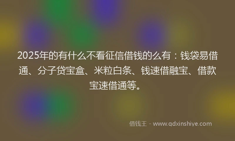 2025年的有什么不看征信借钱的么有：钱袋易借通、分子贷宝盒、米粒白条、钱速借融宝、借款宝速借通等。