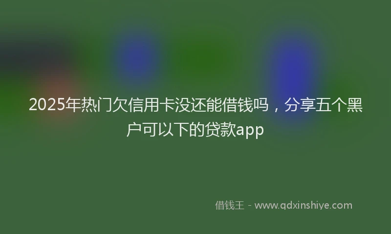 2025年热门欠信用卡没还能借钱吗，分享五个黑户可以下的贷款app