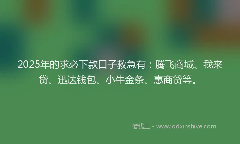 2025年的求必下款口子救急有：腾飞商城、我来贷、迅达钱包、小牛金条、惠商贷等。