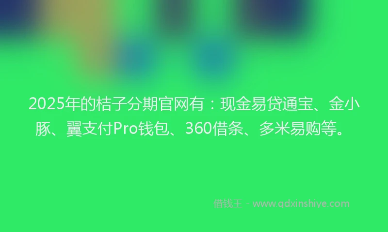 2025年的桔子分期官网有：现金易贷通宝、金小豚、翼支付Pro钱包、360借条、多米易购等。