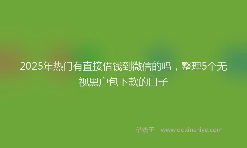 2025年热门有直接借钱到微信的吗，整理5个无视黑户包下款的口子