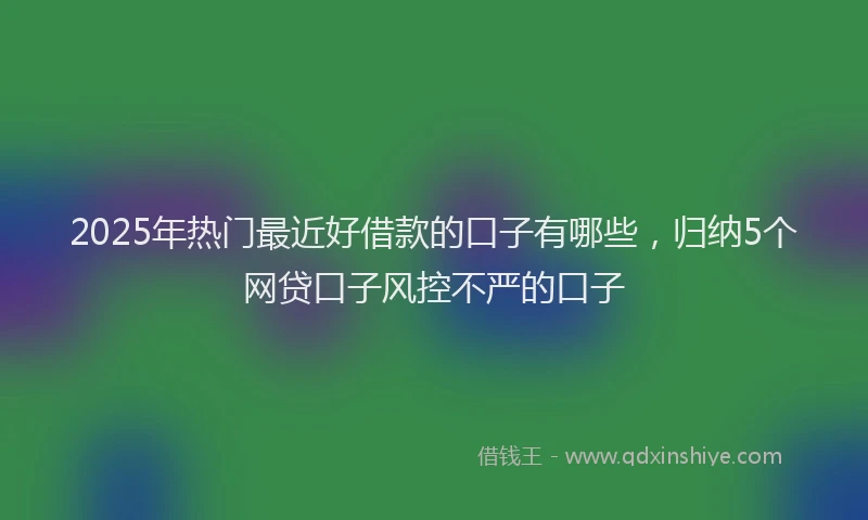 2025年热门最近好借款的口子有哪些，归纳5个网贷口子风控不严的口子