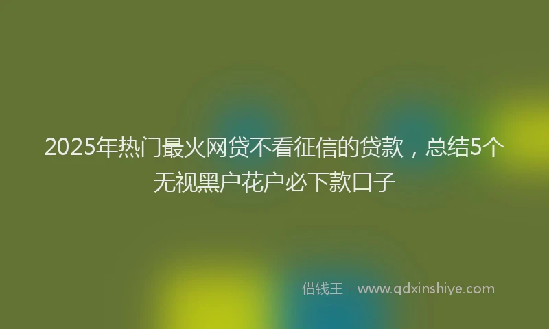 2025年热门最火网贷不看征信的贷款,总结5个无视黑户花户必下款口子