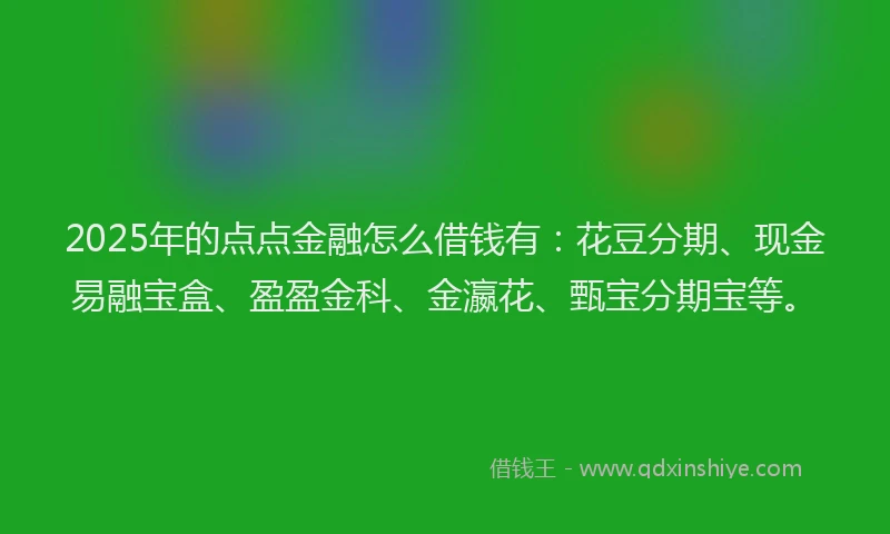 2025年的点点金融怎么借钱有：花豆分期、现金易融宝盒、盈盈金科、金瀛花、甄宝分期宝等。