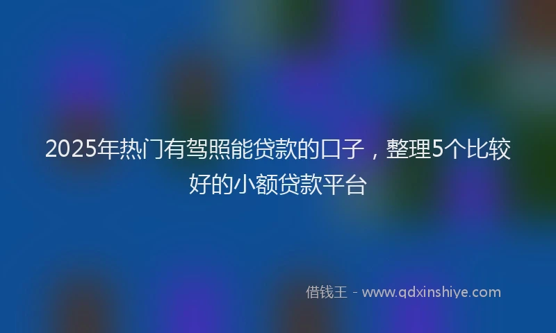 2025年热门有驾照能贷款的口子，整理5个比较好的小额贷款平台