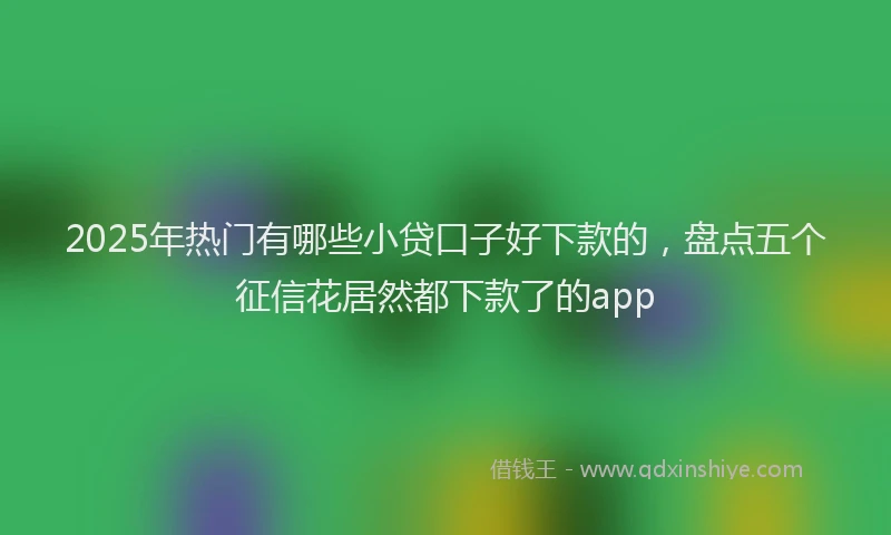 2025年热门有哪些小贷口子好下款的，盘点五个征信花居然都下款了的app