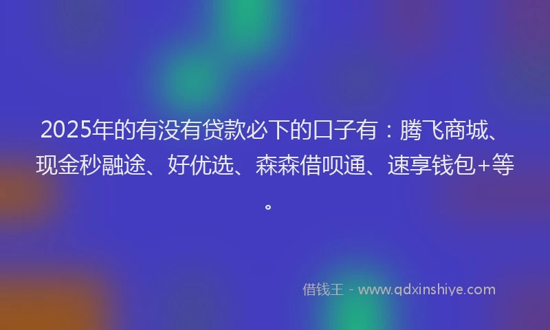 2025年的有没有贷款必下的口子有：腾飞商城、现金秒融途、好优选、森森借呗通、速享钱包+等。