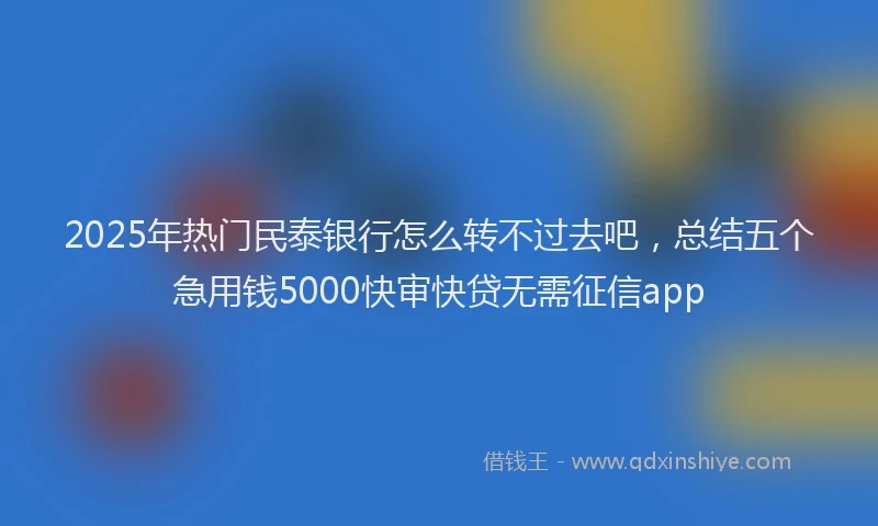 2025年热门民泰银行怎么转不过去吧，总结五个急用钱5000快审快贷无需征信app