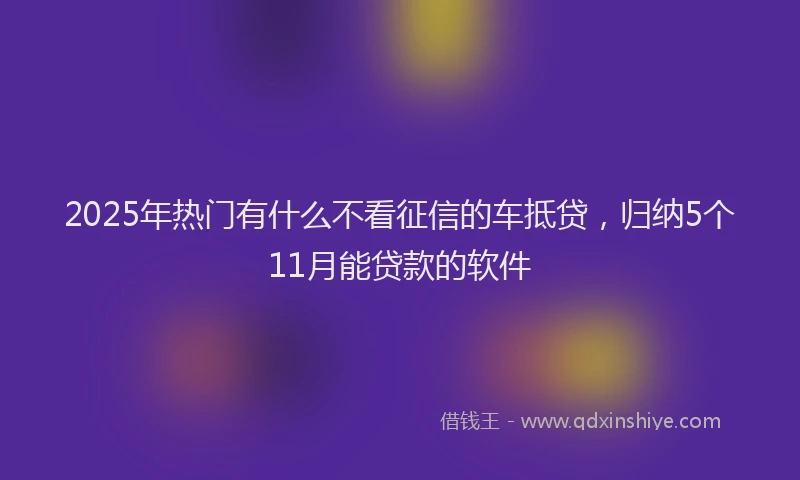 2025年热门有什么不看征信的车抵贷，归纳5个11月能贷款的软件