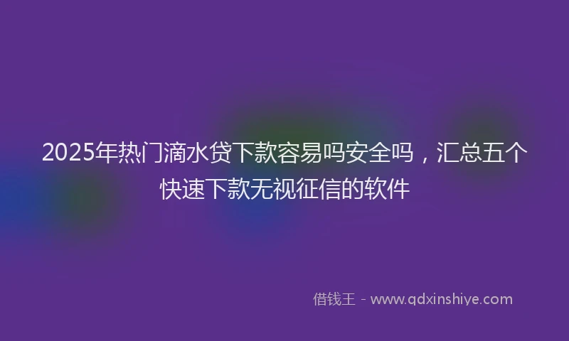 2025年热门滴水贷下款容易吗安全吗，汇总五个快速下款无视征信的软件