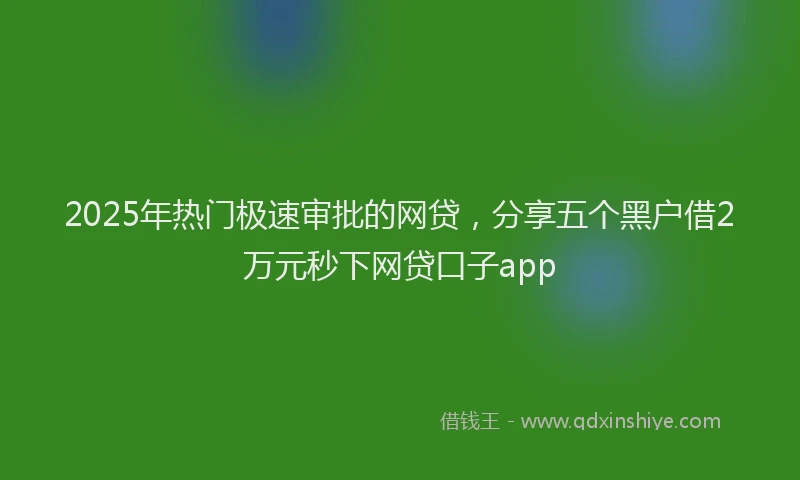 2025年热门极速审批的网贷，分享五个黑户借2万元秒下网贷口子app