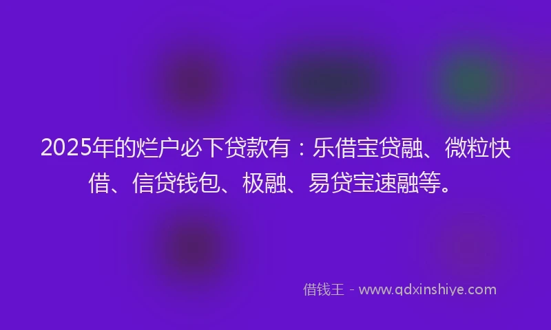 2025年的烂户必下贷款有：乐借宝贷融、微粒快借、信贷钱包、极融、易贷宝速融等。