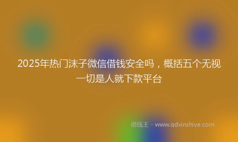 2025年热门沫子微信借钱安全吗，概括五个无视一切是人就下款平台