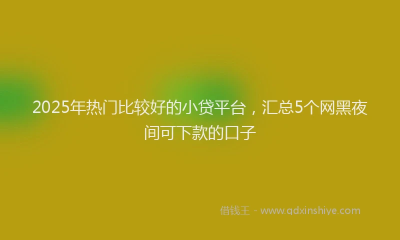 2025年热门比较好的小贷平台,汇总5个网黑夜间可下款的口子