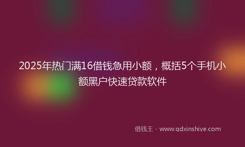 2025年热门满16借钱急用小额，概括5个手机小额黑户快速贷款软件