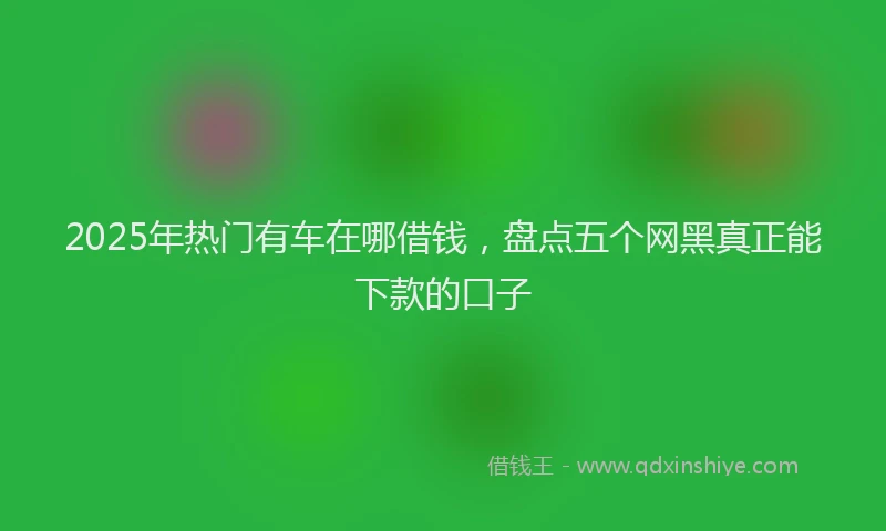 2025年热门有车在哪借钱，盘点五个网黑真正能下款的口子