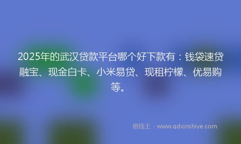 2025年的武汉贷款平台哪个好下款有：钱袋速贷融宝、现金白卡、小米易贷、现租柠檬、优易购等。