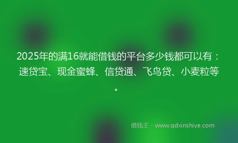 2025年的满16就能借钱的平台多少钱都可以有：速贷宝、现金蜜蜂、信贷通、飞鸟贷、小麦粒等。
