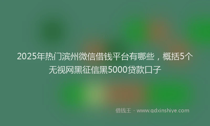 2025年热门滨州微信借钱平台有哪些，概括5个无视网黑征信黑5000贷款口子