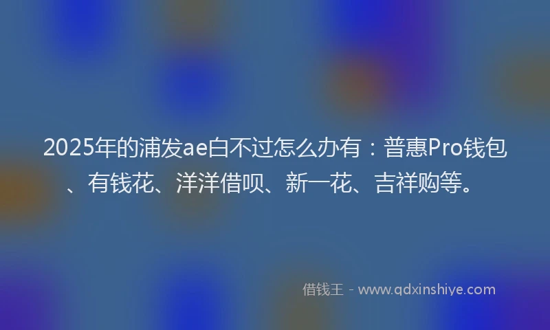 2025年的浦发ae白不过怎么办有：普惠Pro钱包、有钱花、洋洋借呗、新一花、吉祥购等。