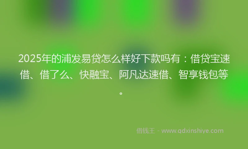 2025年的浦发易贷怎么样好下款吗有：借贷宝速借、借了么、快融宝、阿凡达速借、智享钱包等。