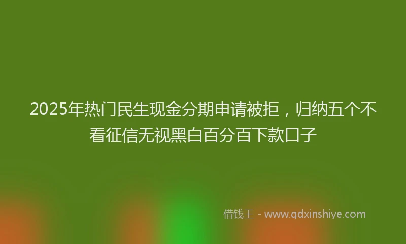 2025年热门民生现金分期申请被拒，归纳五个不看征信无视黑白百分百下款口子