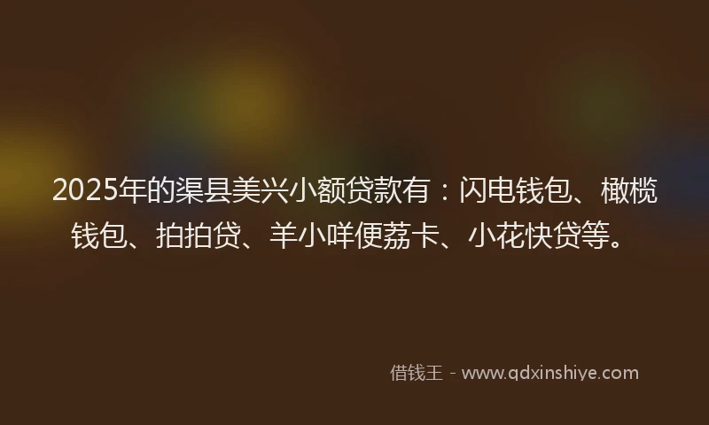 2025年的渠县美兴小额贷款有：闪电钱包、橄榄钱包、拍拍贷、羊小咩便荔卡、小花快贷等。