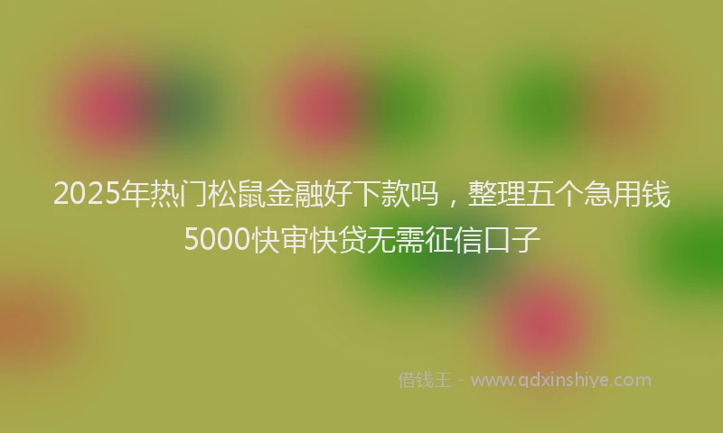 2025年热门松鼠金融好下款吗，整理五个急用钱5000快审快贷无需征信口子