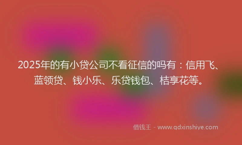 2025年的有小贷公司不看征信的吗有：信用飞、蓝领贷、钱小乐、乐贷钱包、桔享花等。