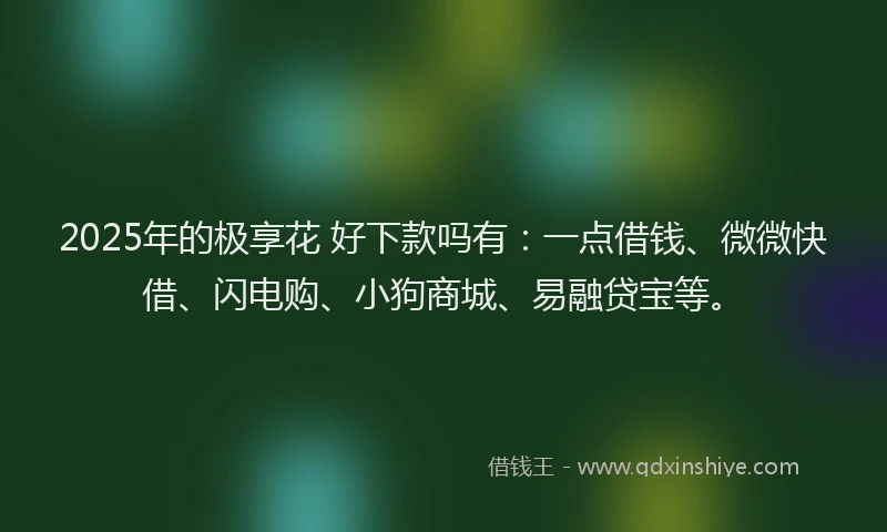 2025年的极享花 好下款吗有:一点借钱、微微快借、闪电购、小狗商城、易融贷宝等。