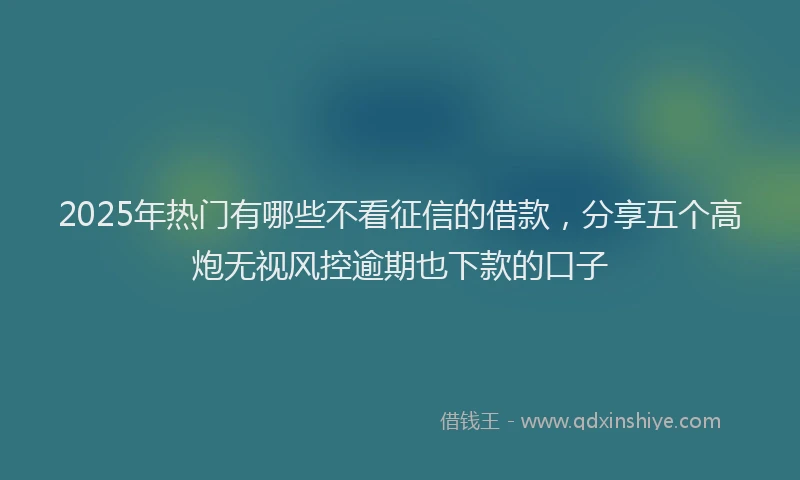 2025年热门有哪些不看征信的借款，分享五个高炮无视风控逾期也下款的口子