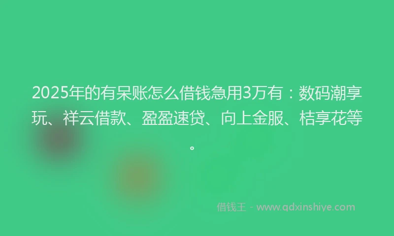2025年的有呆账怎么借钱急用3万有：数码潮享玩、祥云借款、盈盈速贷、向上金服、桔享花等。